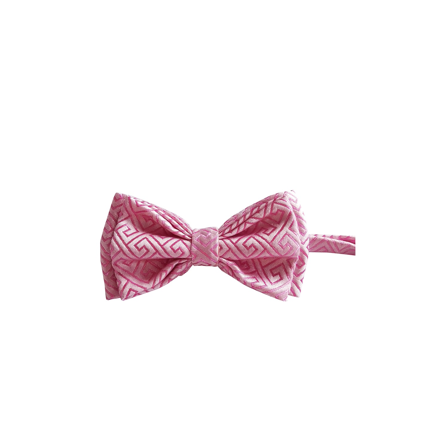 THE HUI WEN P BOWTIE